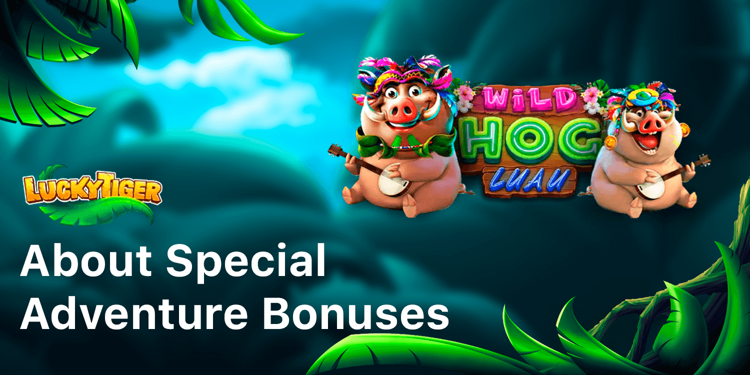 About Lucky Tiger Special Adventure Bonuses: wagering and terms