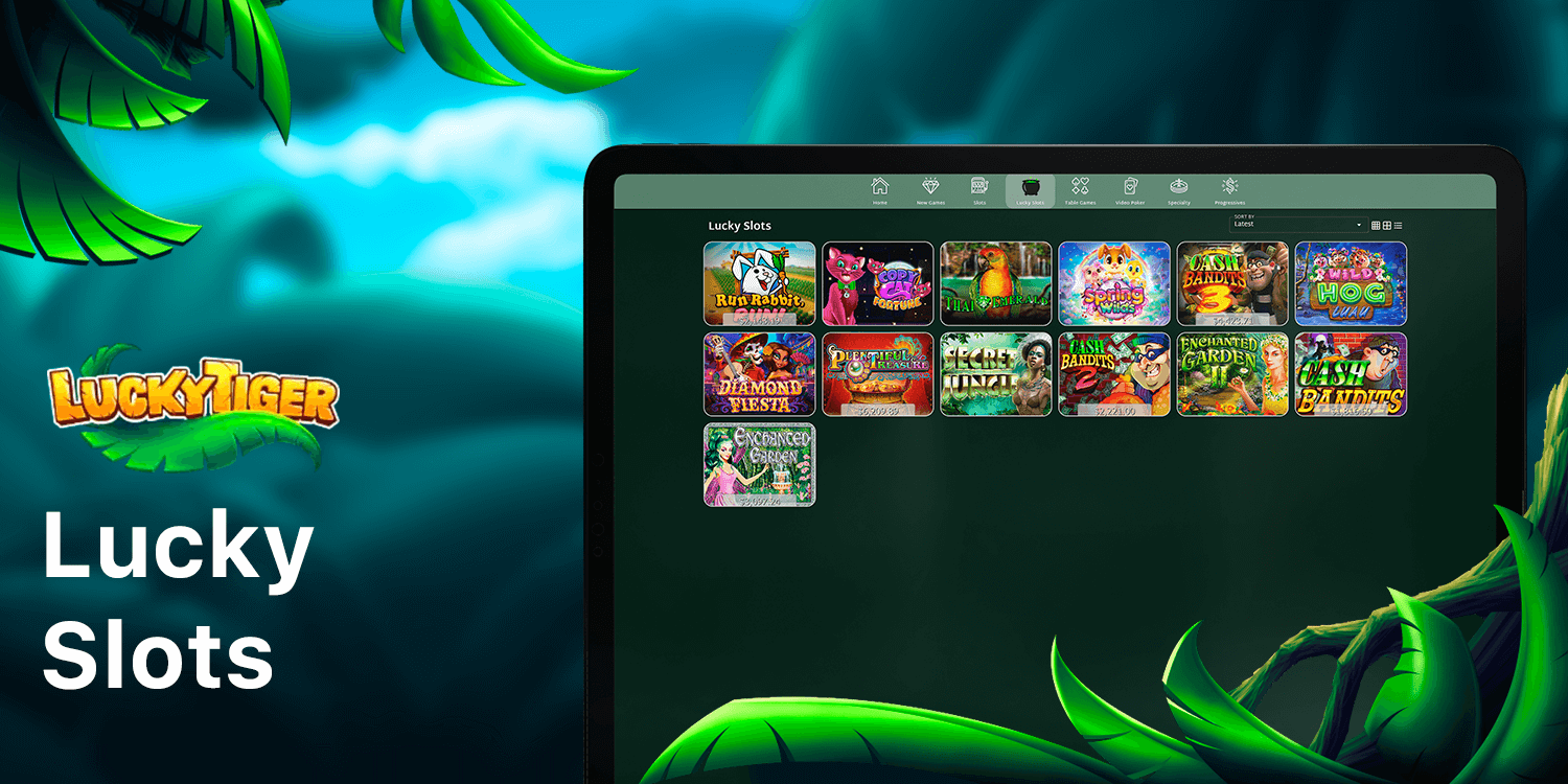 You can try Lucky Slots at Lucky Tiger Casino. They're slots with higher chanses to win