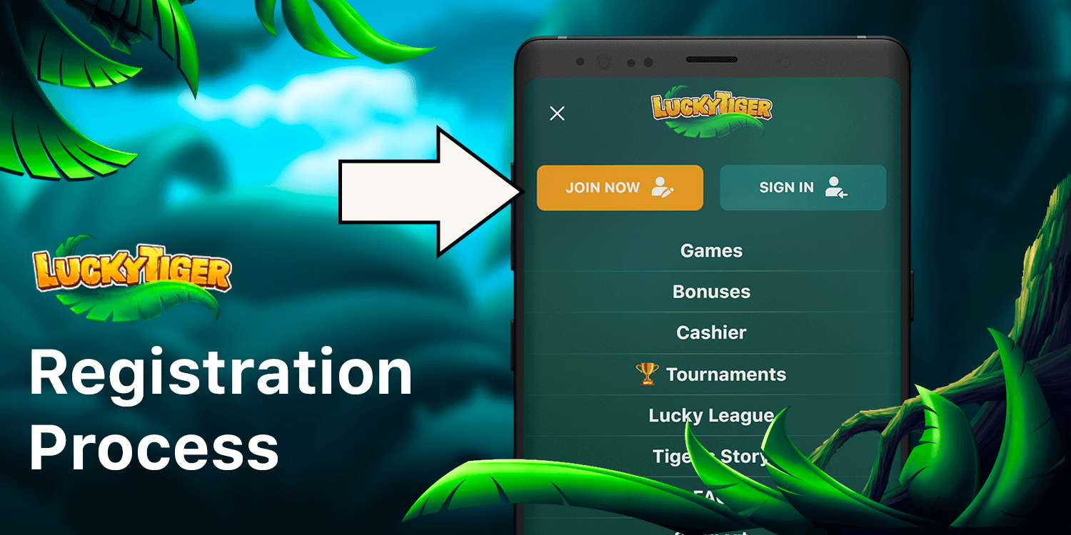 How to register and verify your account at australian Lucky Tiger Casino: full instruction