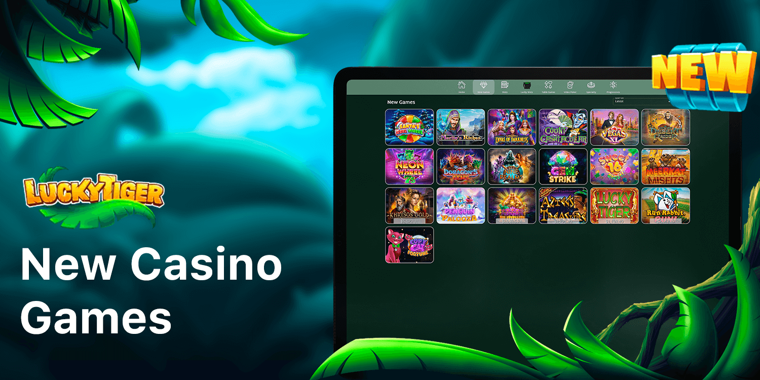 All New Games in the casino located in the special category