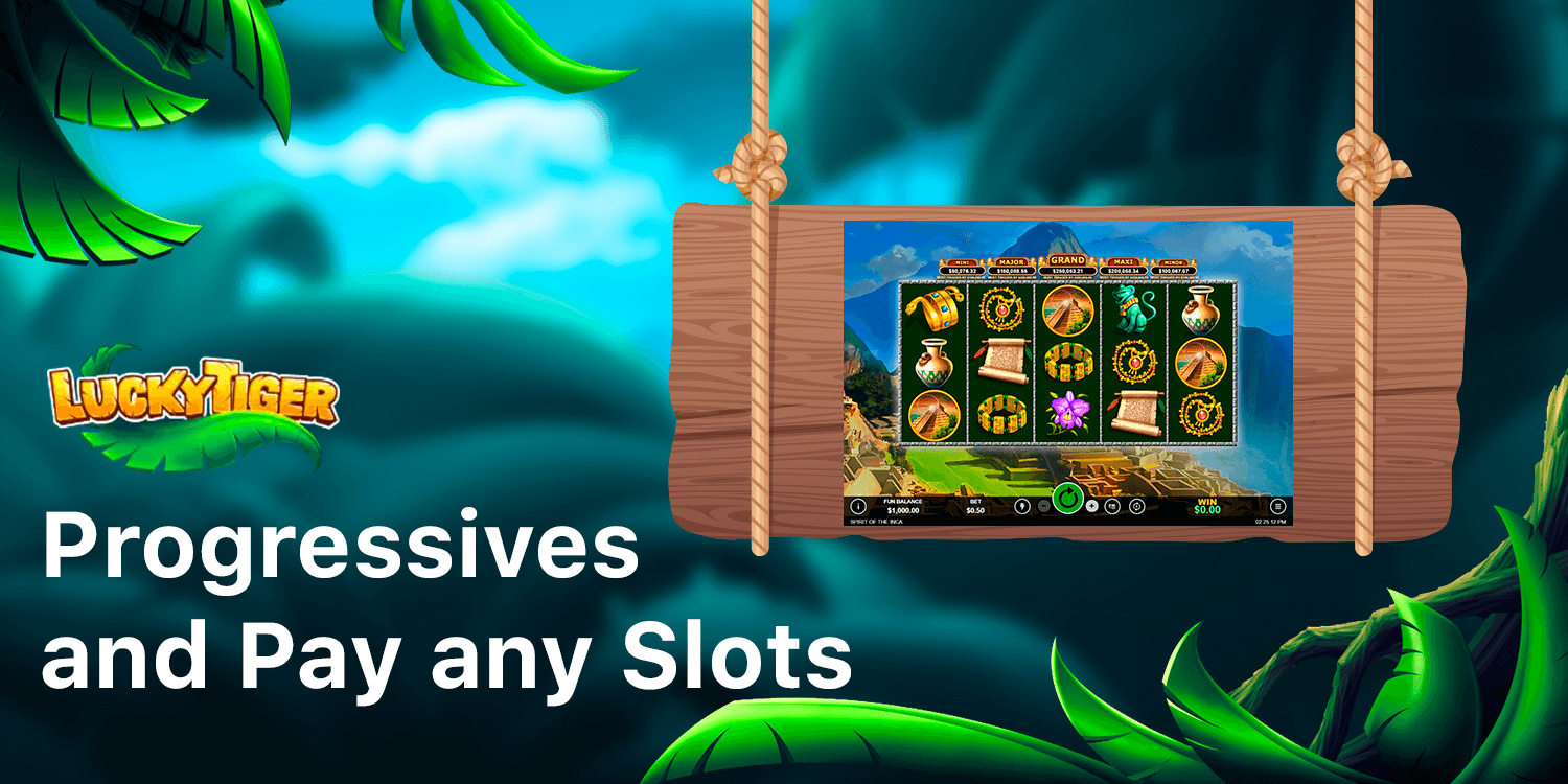 Progressive Slots that you can fins at Lucky Tiger allows players to win big jackpots
