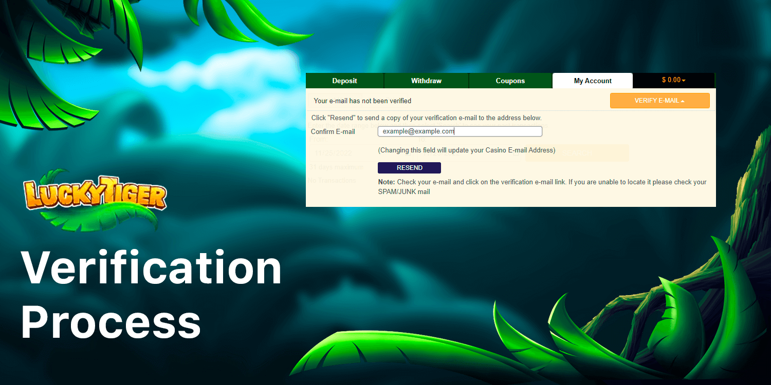Verification Process at Lucky Tiger Casino is Fast and Simple