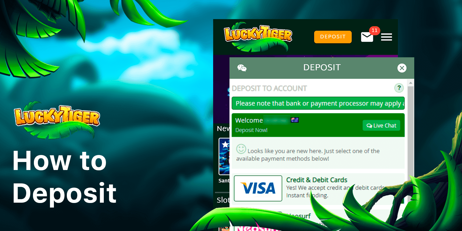 To deposit money you should click 'Deposit' button in the very top of the website and follow this step-by-step instruction