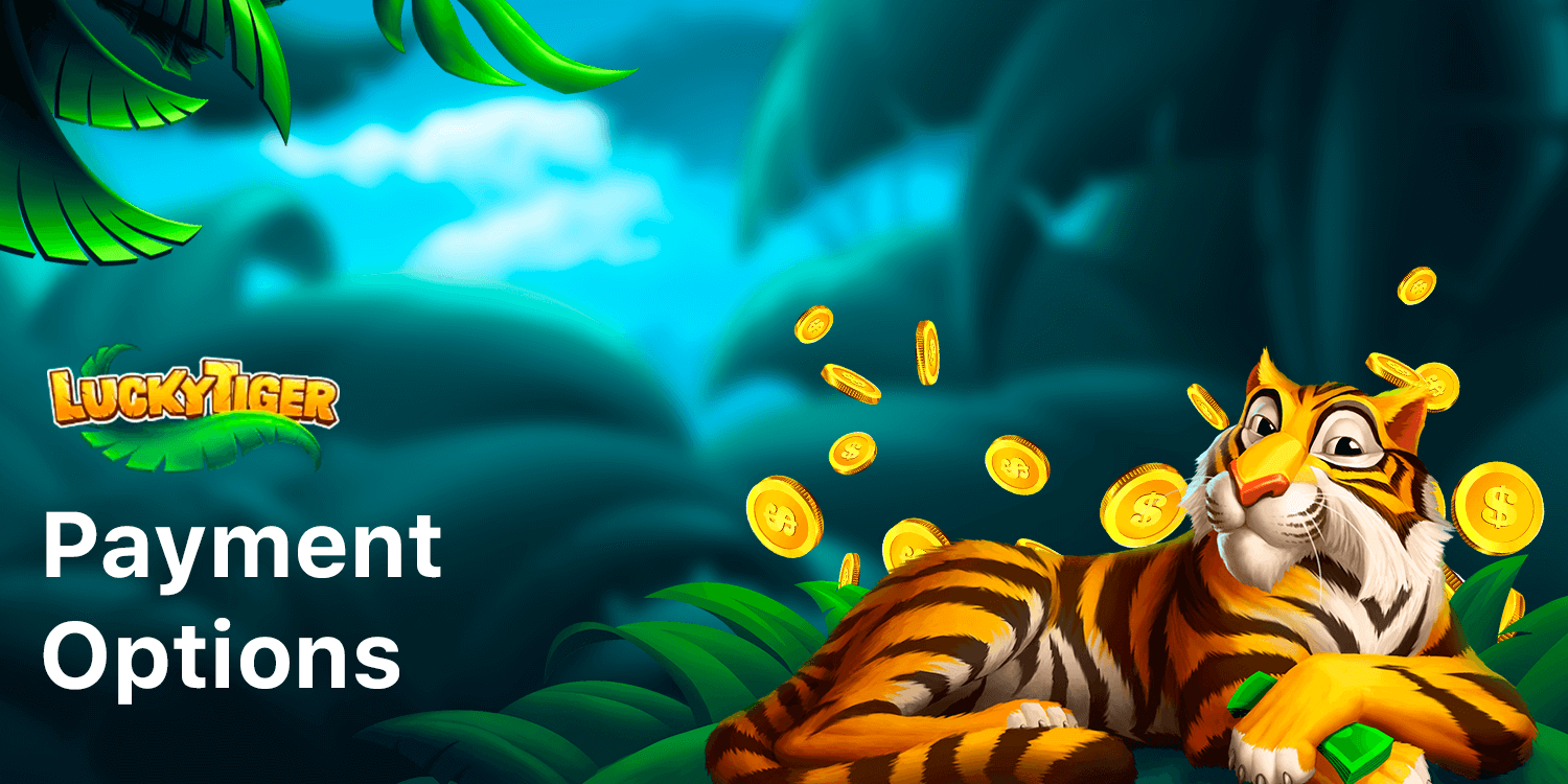 Lucky Tiger Casino Provides a lot of payment options for Australian players in australian dollars and other currencuies