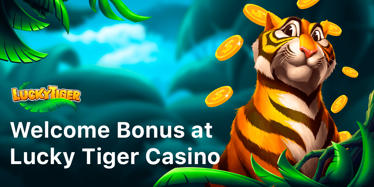 The Casino provides up to AUD 8,400 bonus, which is combined with 200% cashback